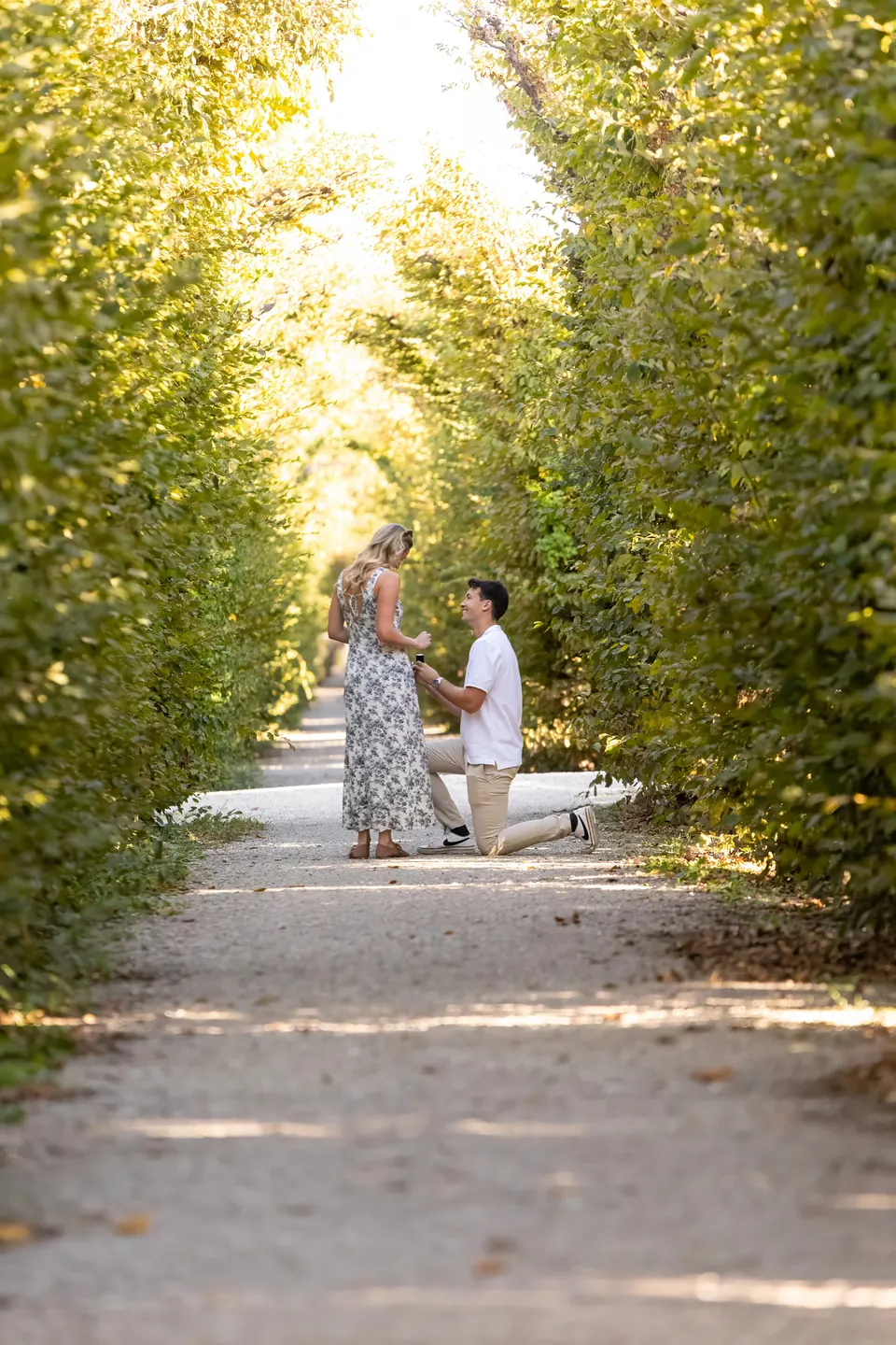 Proposal on one knee in a hedge walkway in Vienna