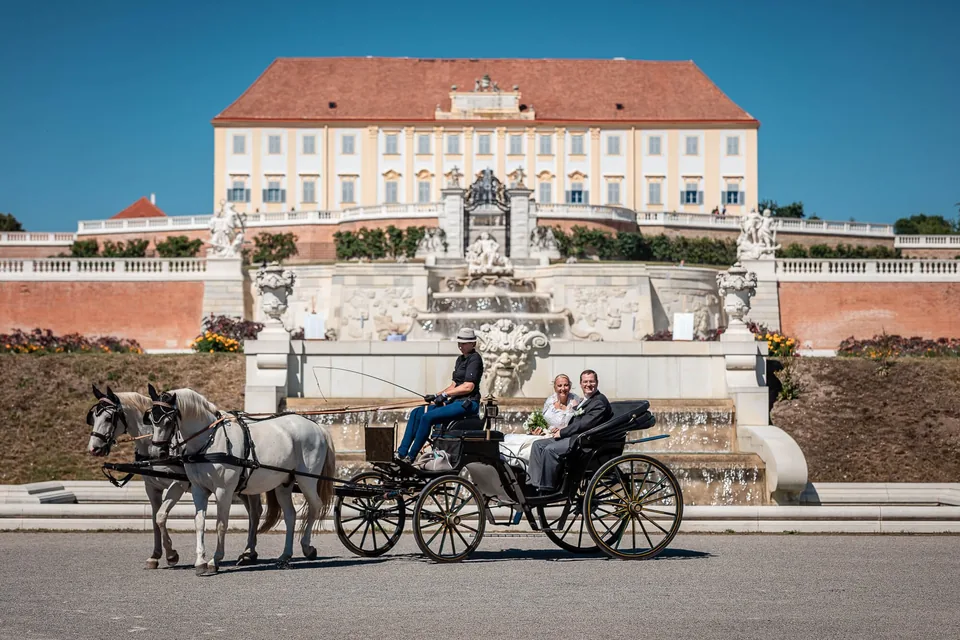 Fiaker with horses in front of Schloss Schönbrunn in Vienna