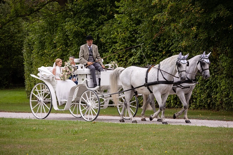Weiße Pferdekutsche mit Hochzeitspaar fährt durch den Schlosspark Hernstein
