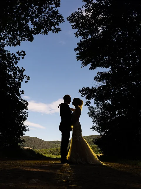 Silhouette of the wedding couple at the forest edge