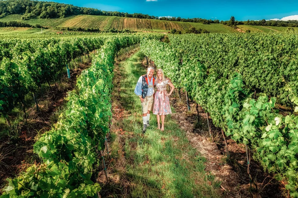 Engaged couple in the vineyards at Schreiberhaus in Vienna