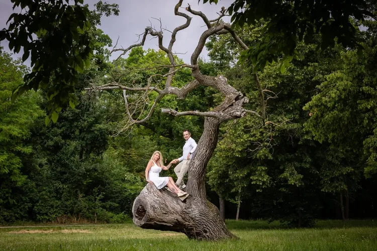 Engagement photos at an old tree in Laxenburg palace park